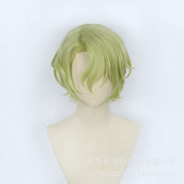

dream festival eve idol cosplay wig small curly barry and, Black;brown