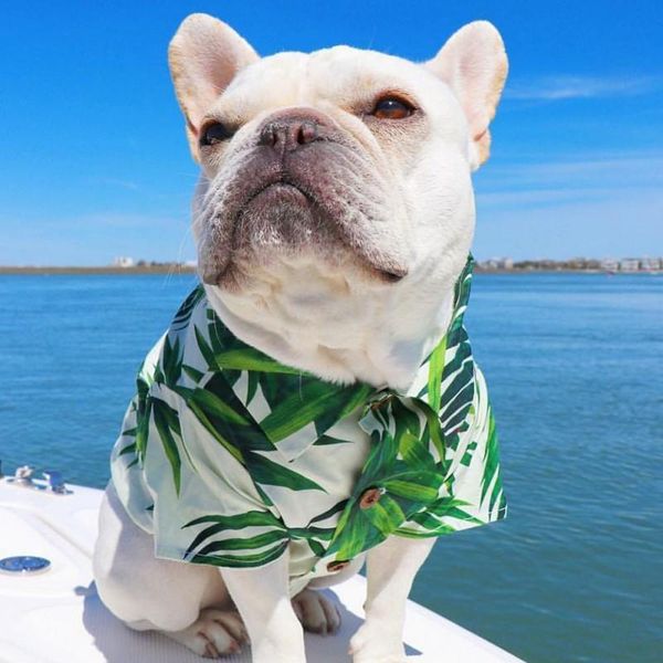 

dog apparel pet hawaii floral shirt green bamboo beach style costume cool breathable chiffon short sleeve printed for dogs