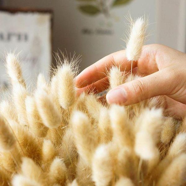 

decorative flowers & wreaths 30pcs/set natural dried tail grass bunch colorful real for wedding lagurus props ovatus decoration