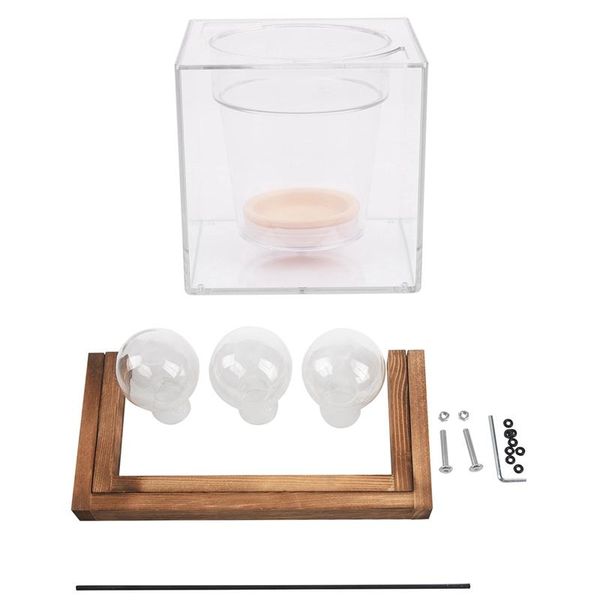 

aquariums 5inch transparent self watering pot deck planter & plant terrarium with wooden stand glass vase holder (3 terrariums)