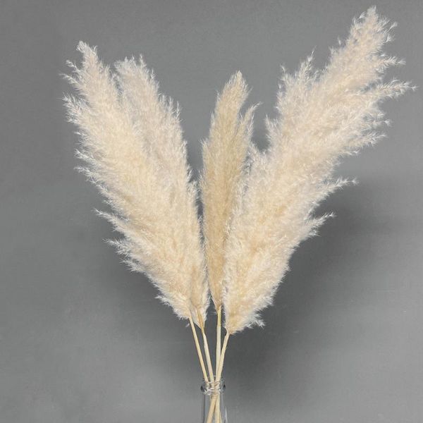 

decorative flowers & wreaths large pampas grass natural dried bouquet fluffy plants for home table decor wedding decorations christmas gift