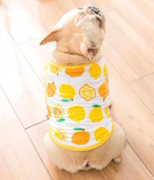 

dog apparel shirts summer cat vest baby clothes thin cute pet t shirt service