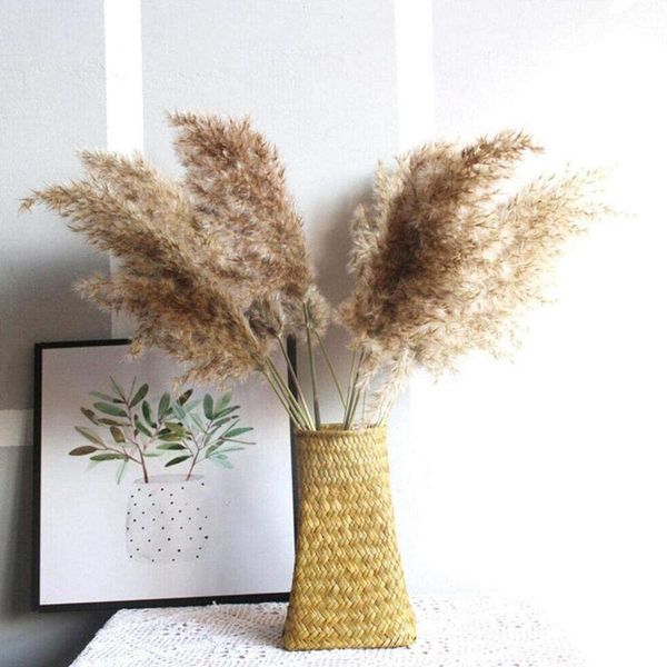 

natural dried flowers brown bouquet of reed setaria boho decoration home bedroom living room decor decorative & wreaths