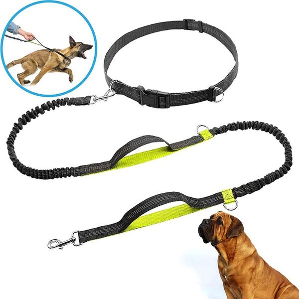 

dog collars & leashes hands leash with double handles for dogs perfect training and practicing sport reflective grip