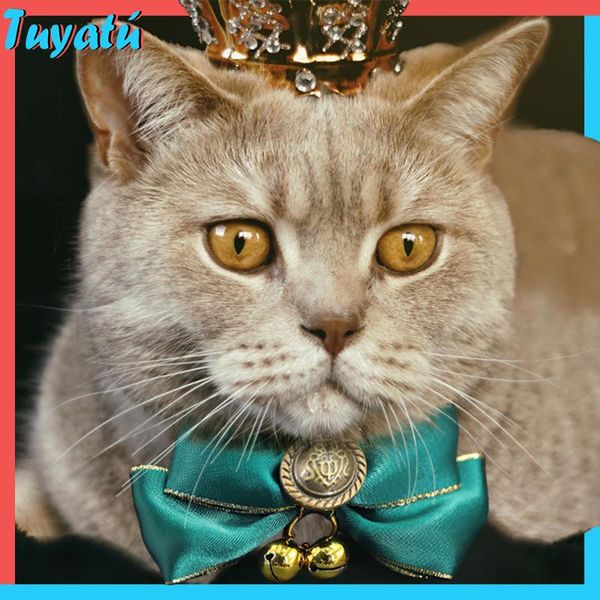 

breakaway cute cat collar with bell bow for cats kitty small pet necklace collars supplies products & leads