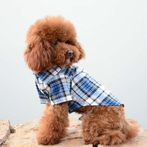 

pet dog clothes shirt spring and summer pomebi bear samoyetedi