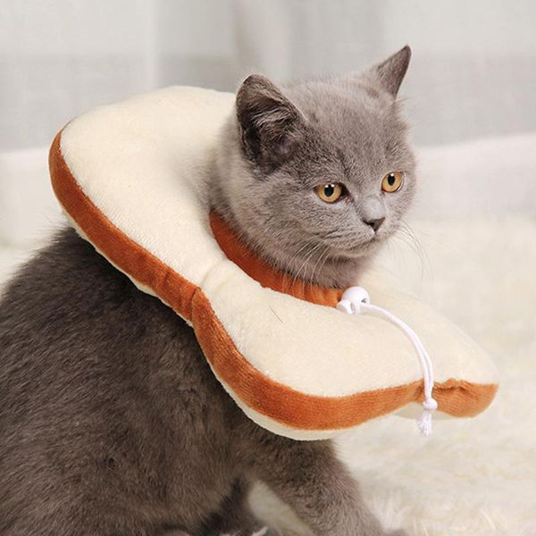 

cat collars & leads creative collar headgears pet bite-proof neck pets lick-proof anti-bite avocado toast ring accessories
