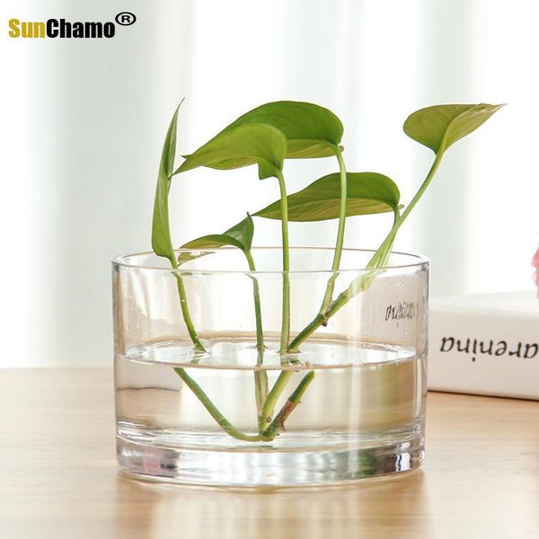 

aquariums transparent small square glass flower pots vase & plant pot cup