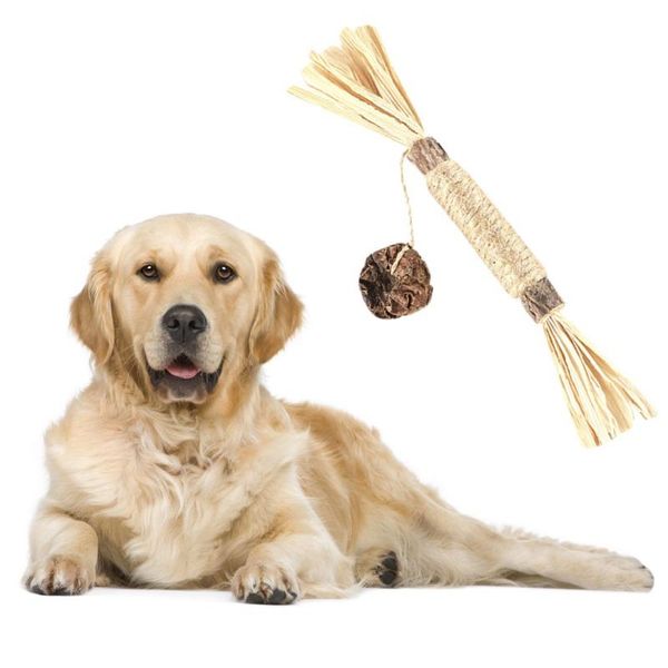 

cat toys hygiene care, chew with teeth cleaning, suitable for all cats chewing toy grinding supplies