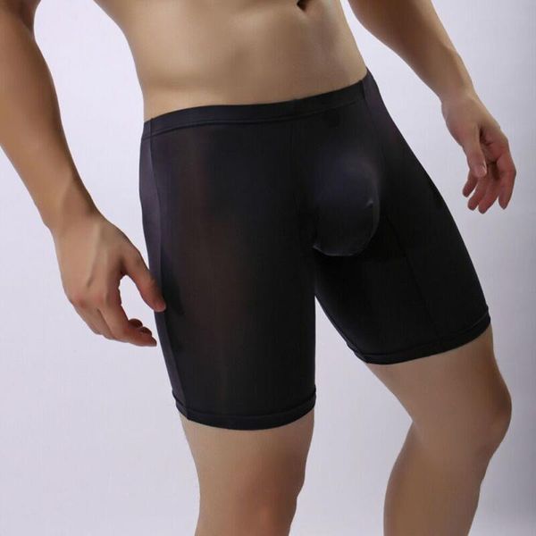 

underpants men's underwear transparent mesh boxer briefs slim stretch see-through, Black;white