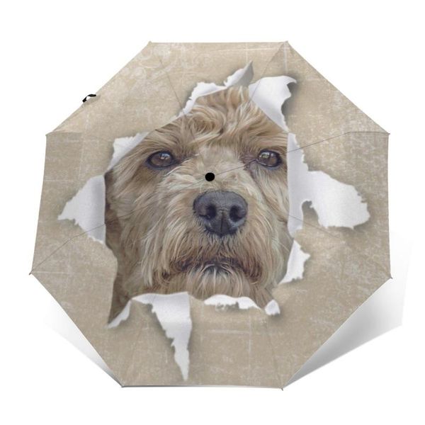 

umbrellas poodle umbrella waterproof sun stylish auto painting lightweight