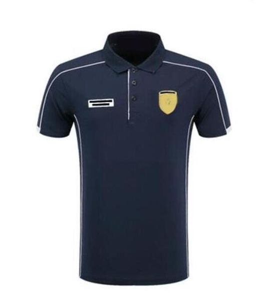 

f1 racing polo shirt, 2021 fashion lapel t-shirt, polyester quick-drying, the same style customized