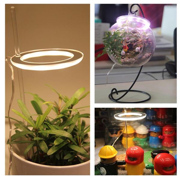 

grow lights led light full phyto lamp usb phytolamp 5v for plants growth lighting indoor plant greenhouse seedling