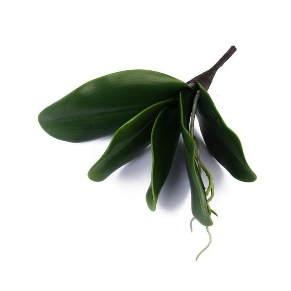 

artificial phalaenopsis orchids leaves green simulation moth orchid leaf for flowers garden bonsai decor decorative & wreaths