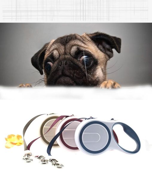 

3m/5m pet leads ropes durable adjustable dog leash automatic retractable walking running lead for supplies collars & leashes