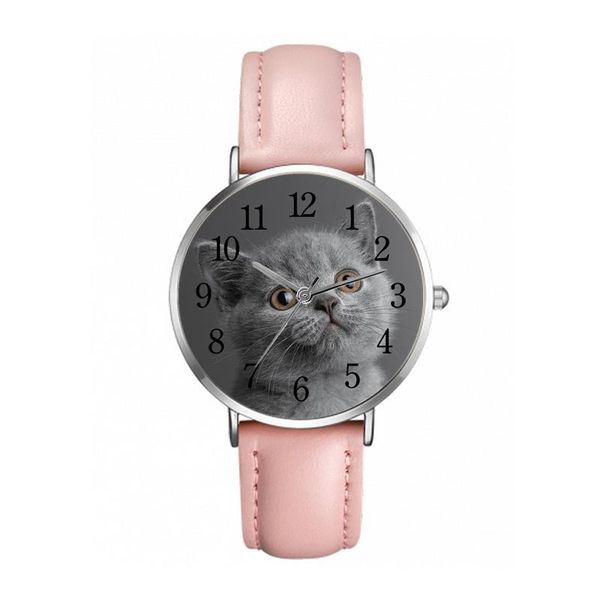 

wristwatches zegarki cute blue cat women's watch quartz watchwith pu strap pet po, Slivery;brown