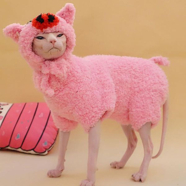 

cat costumes cute sphynx clothes winter coral fleece warm thick clothing for sphinx kitten coat jacket outfit sphinksu