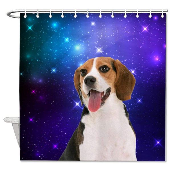 

dog mammal vertebrate dog breed canidae beaglier beagle carnivore drever bath decorative shower curtain bathroom