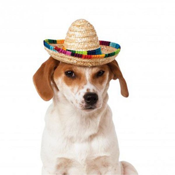 

dog apparel multicolor straw hat mexican sombrero for pets pet cat adjustable buckle suit