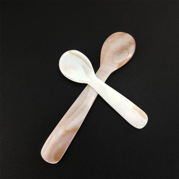 

spoons 9.2cm/13cm natural conch shell spoon condiment coffee caviar dessert mask