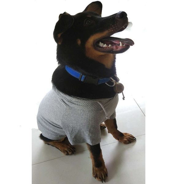 

the dog clothes small spring summer autumn winter pet dog clothes