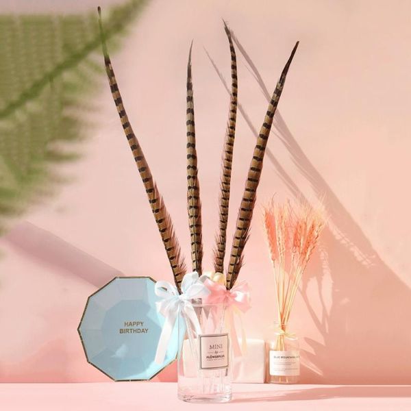 

cat toys 1pc funny chicken feather stick intective supplies