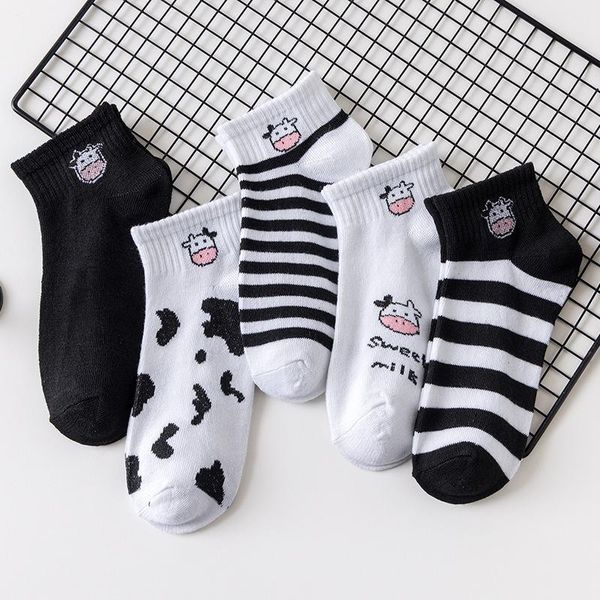 

socks & hosiery 5 pairs/set cartoon animal women cute cows bear ladies girls short spring summer sokken, Black;white