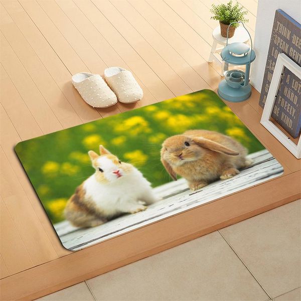 

custom rabbits door mat hallway balcony kitchen mats anti-slip rug living room bathroom carpet doormats bath carpets