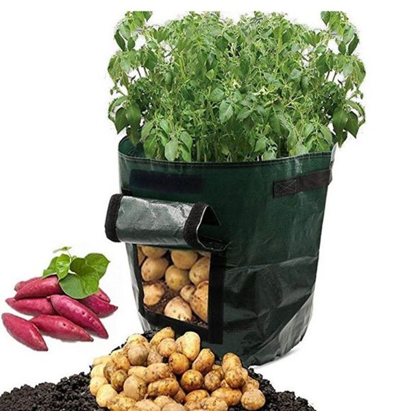 

planters & pots plant pe fabric bags potato planting container bag tomato vegetable cultivation growing garden tool