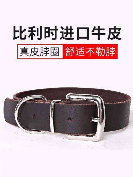 

deead leather dog tag lettering prevent losing small, medium and large dog collar golden hair