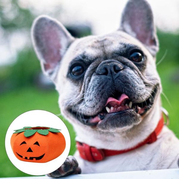 

cat costumes dog collar funky pet suit pumpkin clothes for