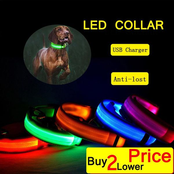 

dog collars & leashes collar&leash usb charging led light flashing luminous collar nylon puppy small large pet supplies accessories