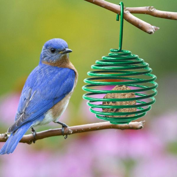 

other bird supplies feeder metal balcony dispenser hanging wild with ring for indoor outdoor garden yard decor