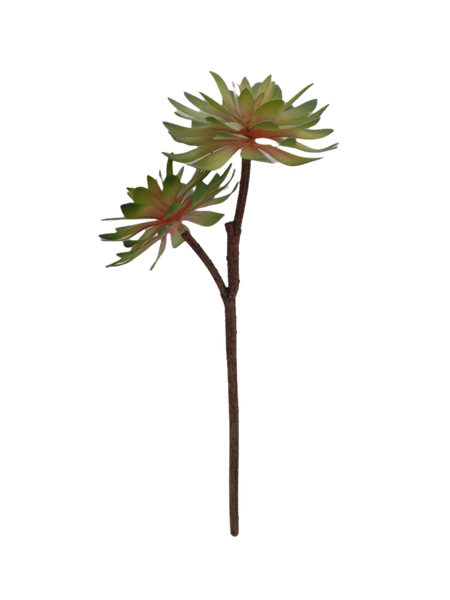

simulation succulent plant single branch double head home office decoration decorative flowers & wreaths
