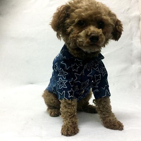 

dog apparel tomepets pet clothing shirt for big bellies jeans in 5-star pattern blue/red