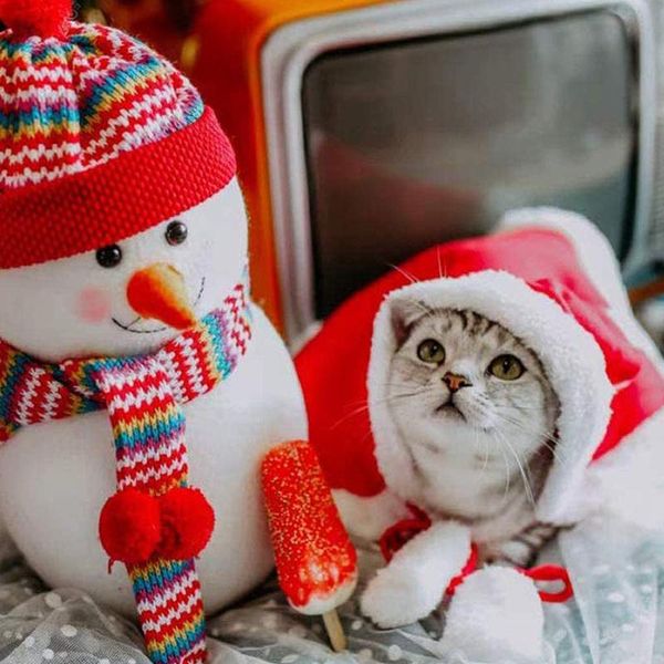 

cat costumes funny dog costume christmas cloak halloween disguise clothes for cats year suit small dogs pet po props accessory