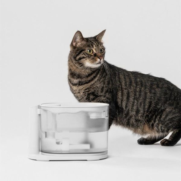 

cat bowls & feeders thermostat mute pet water dispenser automatic feeder supplies dog drinking fountain