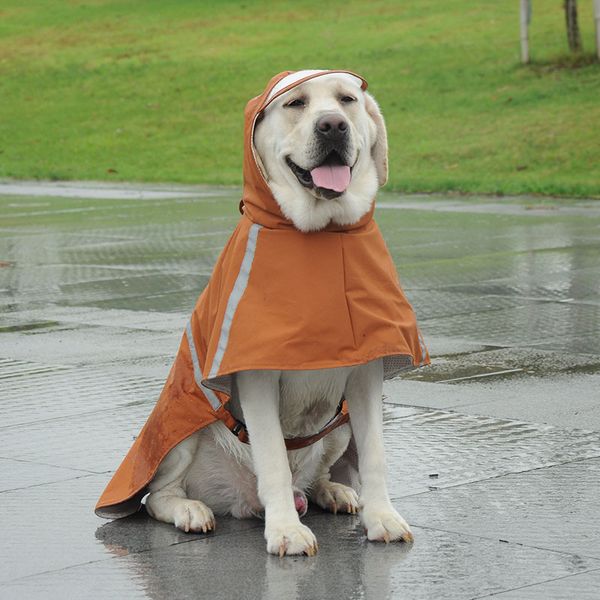 

pet cloth dog raincoat golden labrador waterproof clothing
