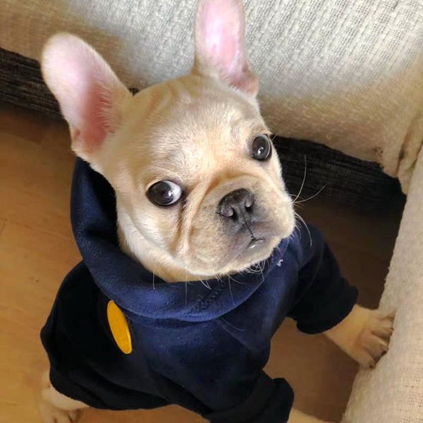 

dog apparel [mpk wear] clothes hoodies for winter, suitable french bulldogs, pugs, 3 colors available