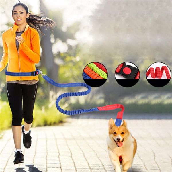

outdoor bags running dogs leash elasticity pet products harness collar jogging lead and adjustable waist rope belt 2021