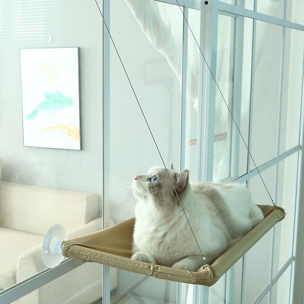 

cat beds & furniture pet bed for sucker sunny seat window mount hammock comfortable mat cute hanging set bearing 20kg