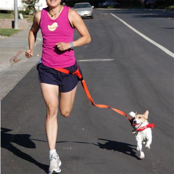 

dog harness walk hands fress leashes for dogs leash no pull run chains with leads night light pet supplies collars &