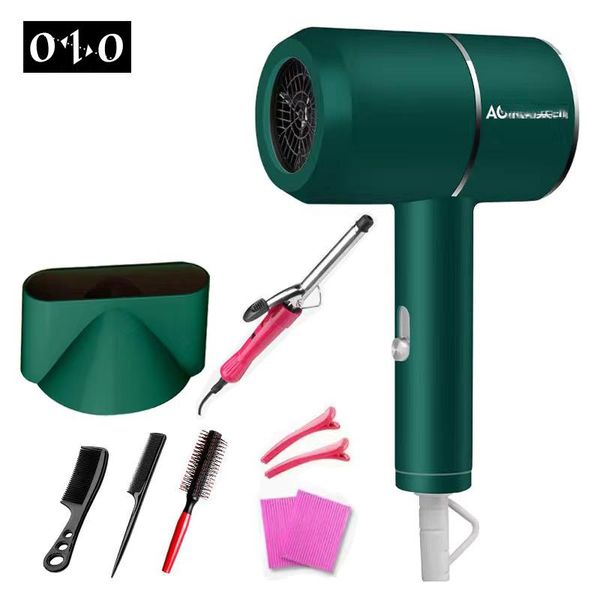 

electric hair brushes 220v professional salon negative ion dryer cold and air adjusting anion temperature control strong wind