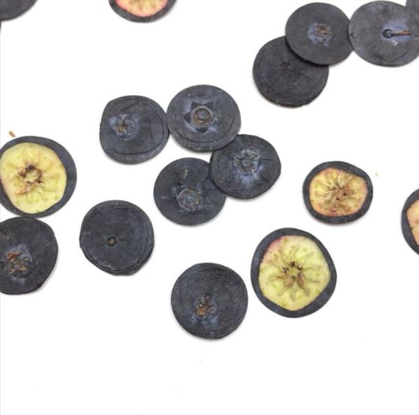 

decorative flowers & wreaths dried pressed mini fruit blueberry slices plant herbarium for jewelry po frame phone case bookmark making diy