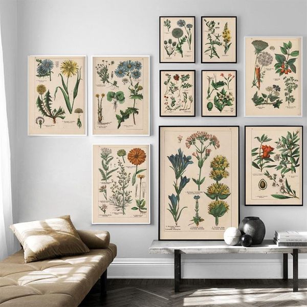 

paintings antique plant wall art canvas for kitchen painting pictures, vintage posters and printmakers use decor