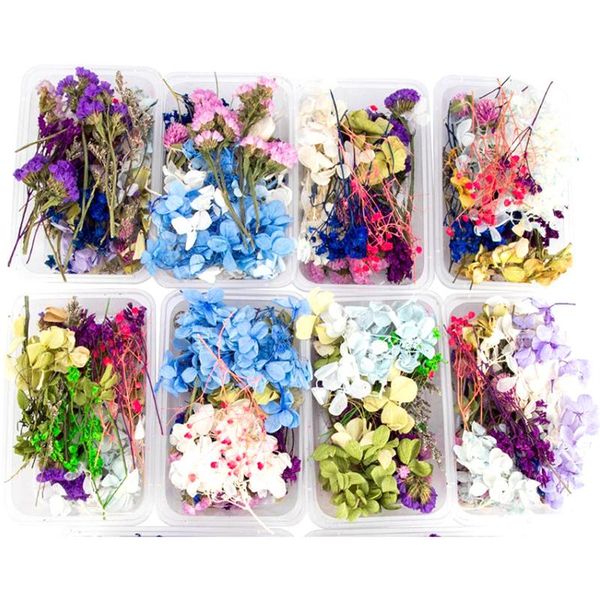 

decorative flowers & wreaths 1 box real dried flower dry plants for candle epoxy resin pendant necklace jewelry making craft di