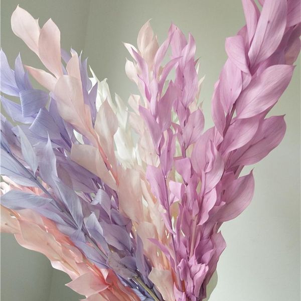 

decorative flowers & wreaths natural fresh preserved orange leaf bouquet 5pcs/40cm display eternell dracaena branch for wedding party home d