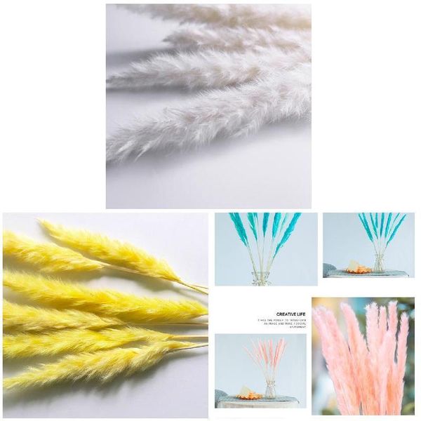 

decorative flowers & wreaths 15 pcs dried small pampas grass phragmites communis decoration for home store wedding stock