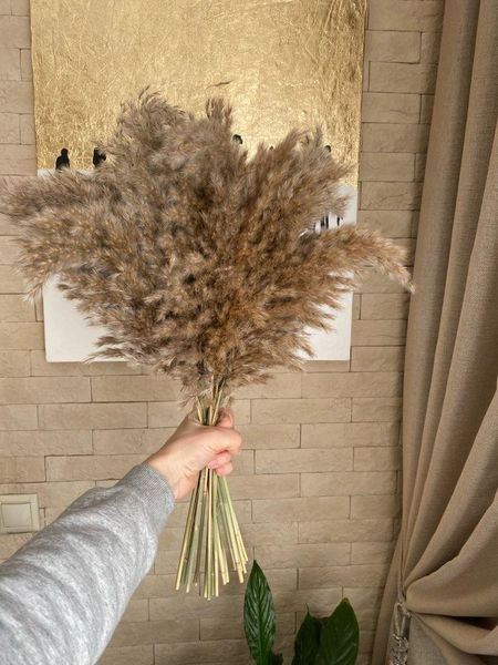 

decorative flowers & wreaths real dried pampas grass decor wedding beautiful big reed flower bunch natural plants family phragmites