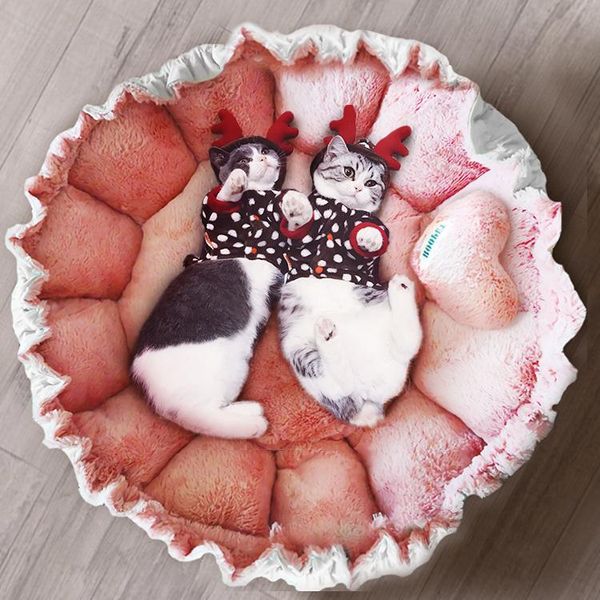 

cat beds & furniture basket cute bed cushion washable cozy luxury flower unique sleeping warm fun domek dla kota accessories bl50mw
